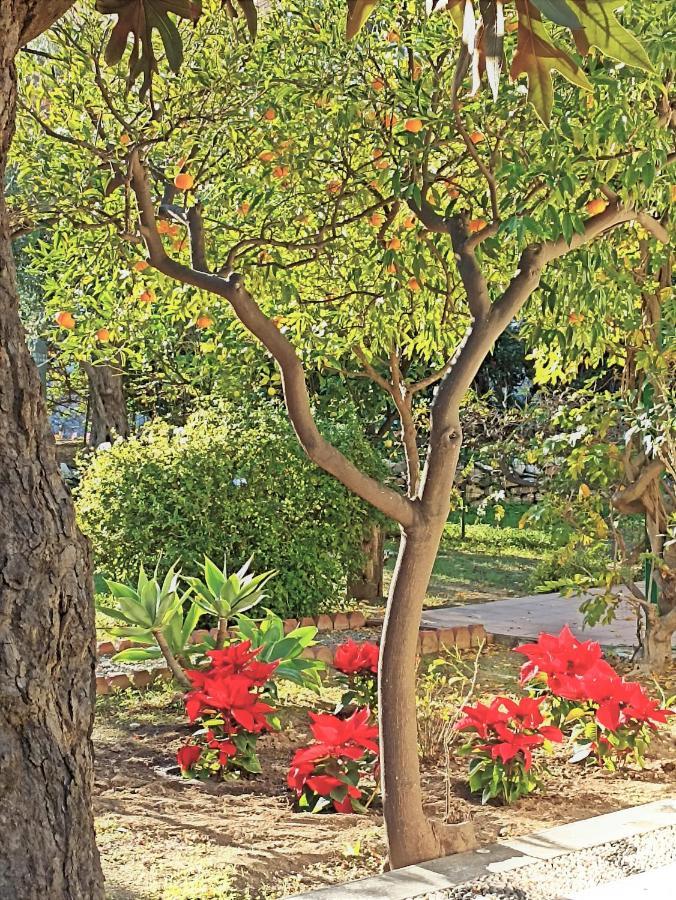 Seafront Apartments Garden House Taormina Buitenkant foto